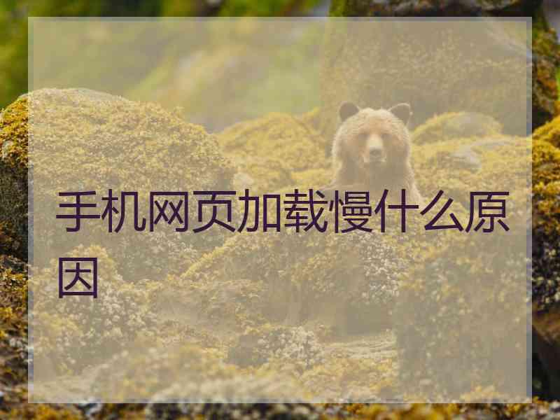 手机网页加载慢什么原因