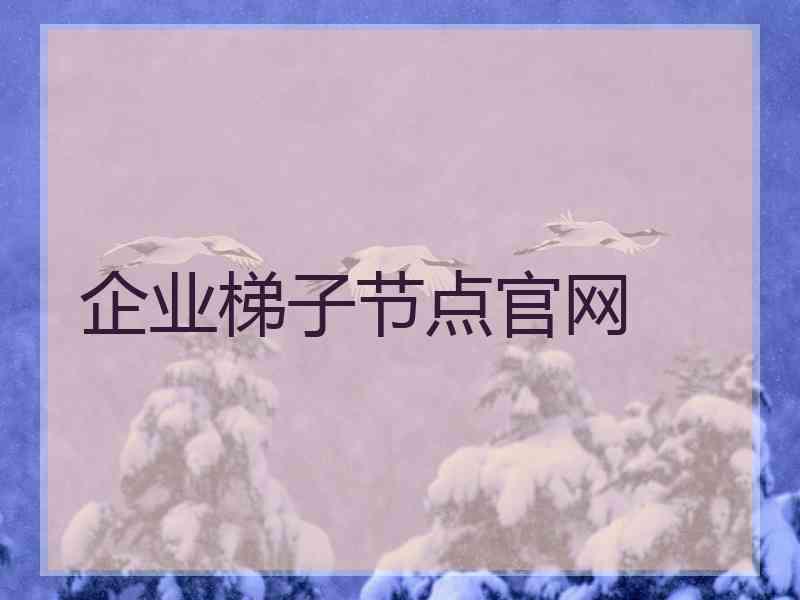 企业梯子节点官网