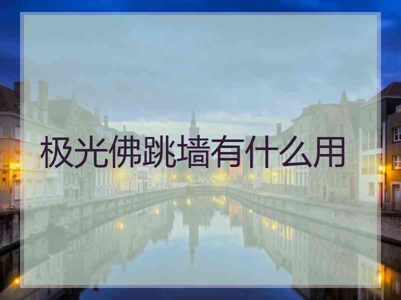 极光佛跳墙有什么用