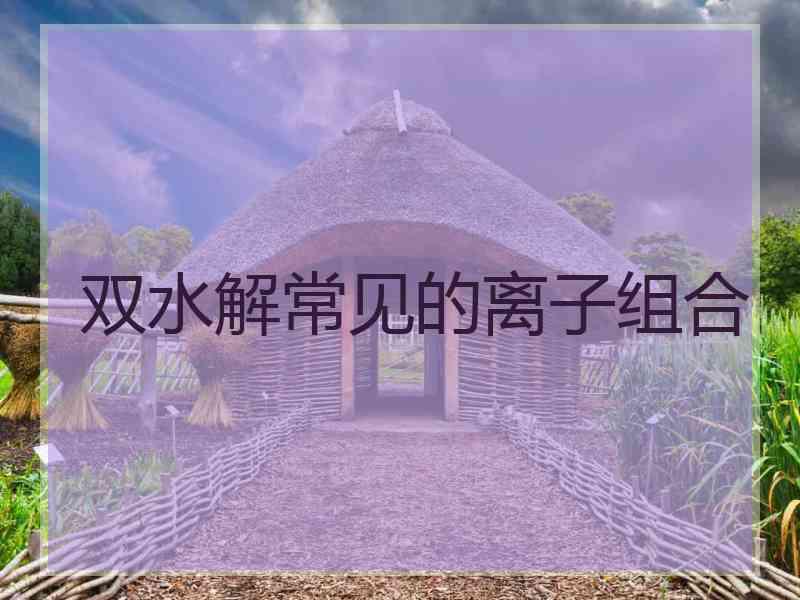 双水解常见的离子组合