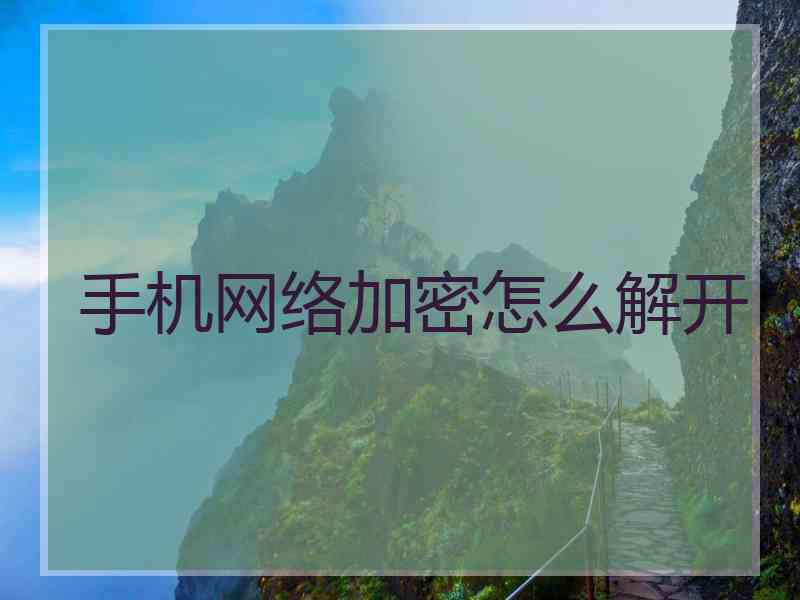 手机网络加密怎么解开