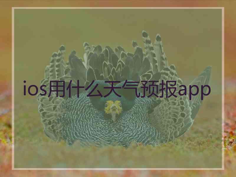 ios用什么天气预报app