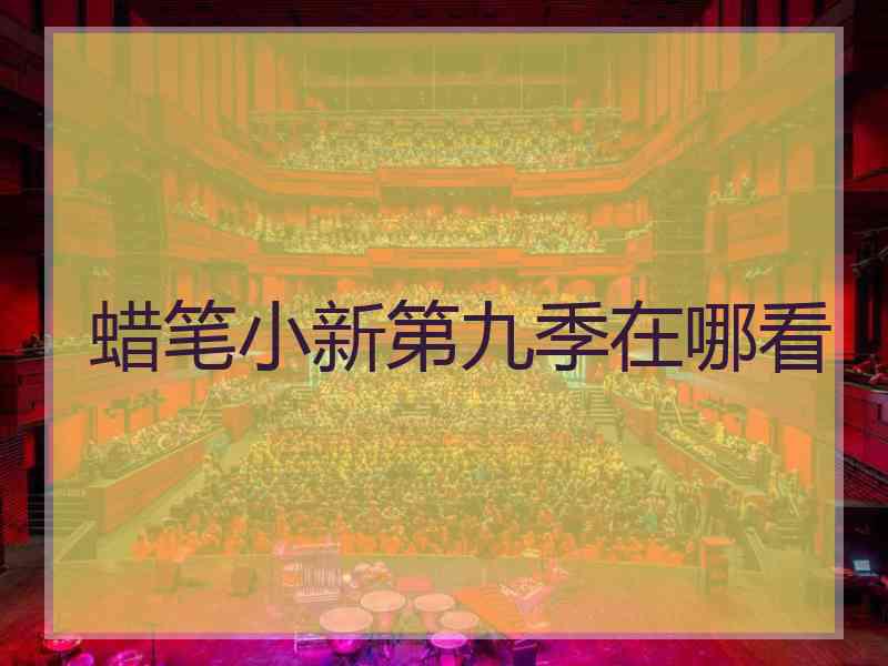 蜡笔小新第九季在哪看