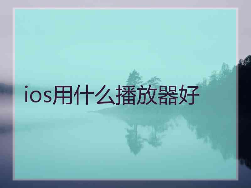ios用什么播放器好
