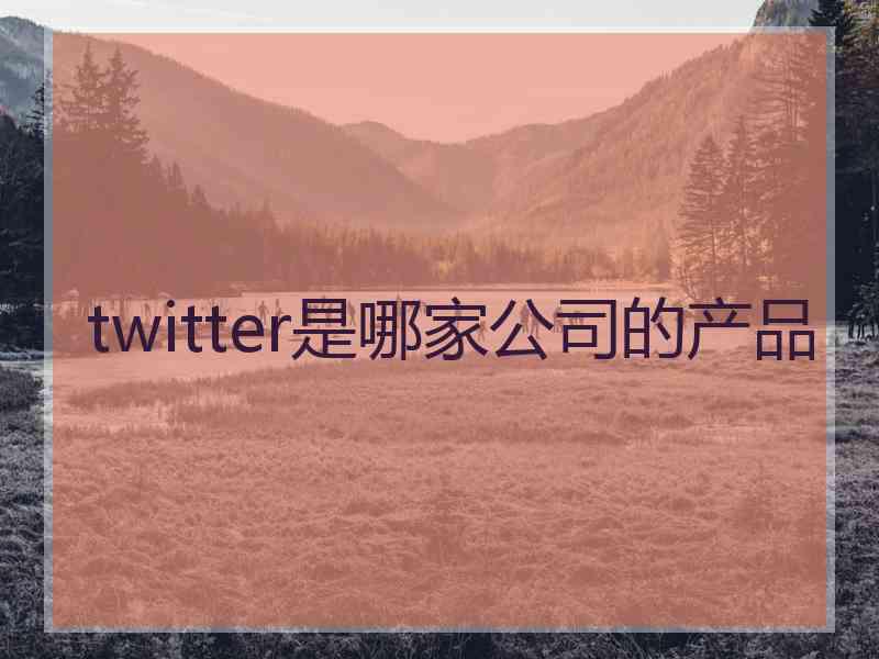 twitter是哪家公司的产品