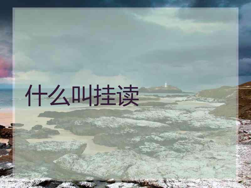 什么叫挂读