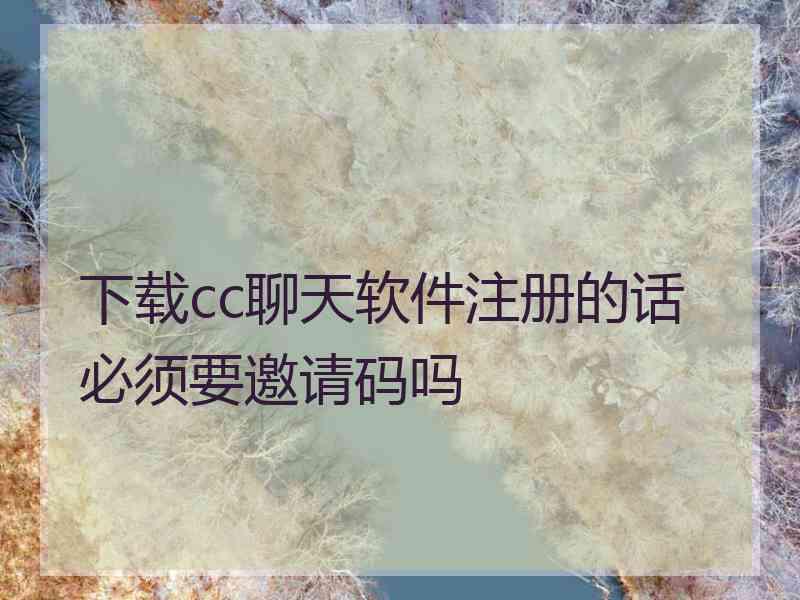下载cc聊天软件注册的话必须要邀请码吗