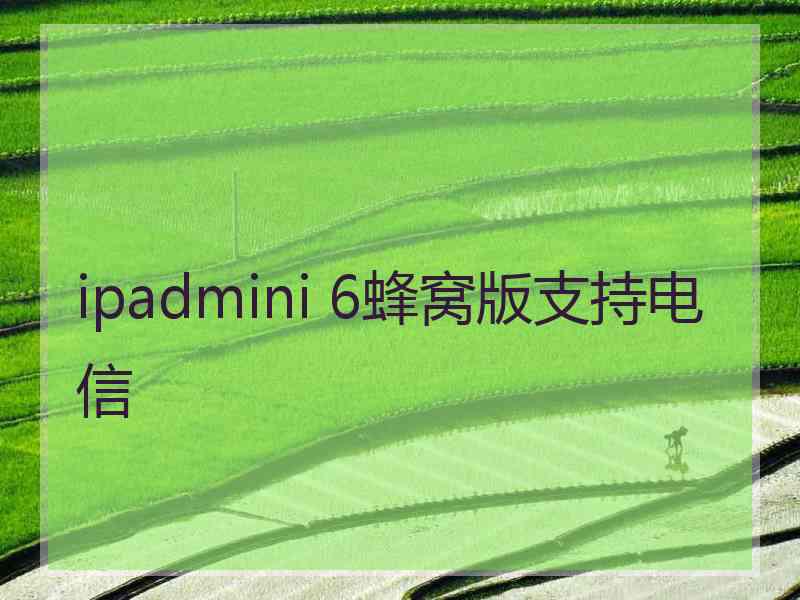 ipadmini 6蜂窝版支持电信