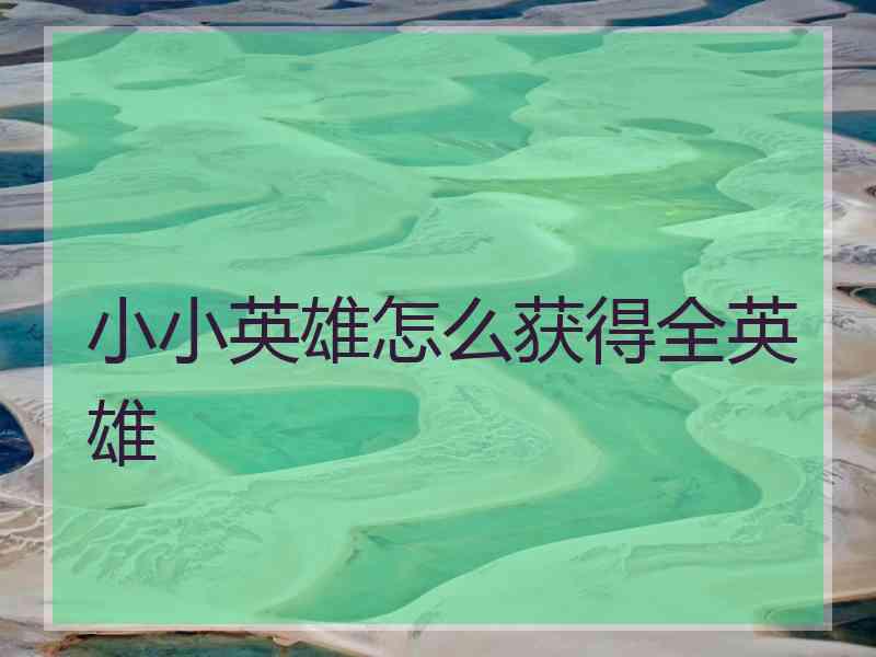 小小英雄怎么获得全英雄