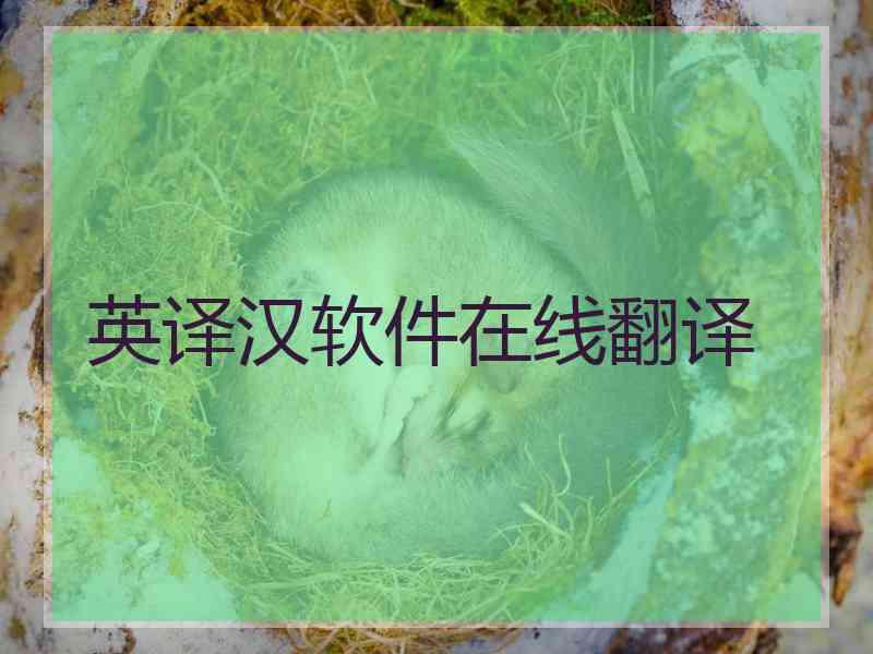 英译汉软件在线翻译