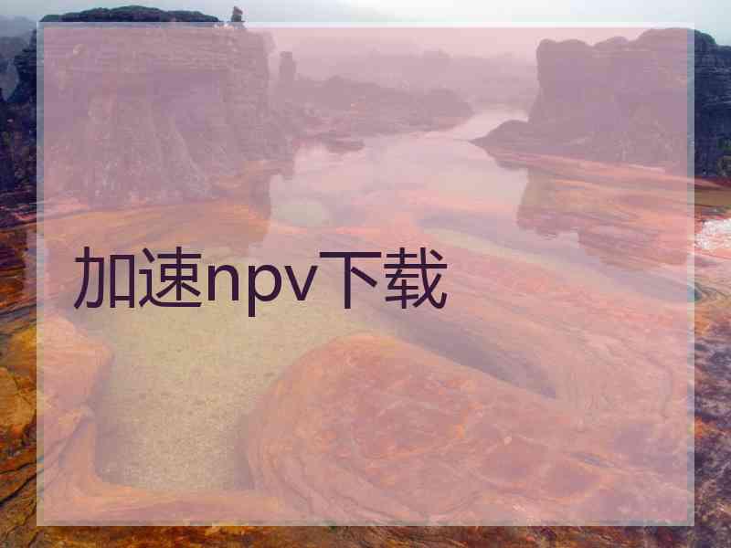 加速npv下载