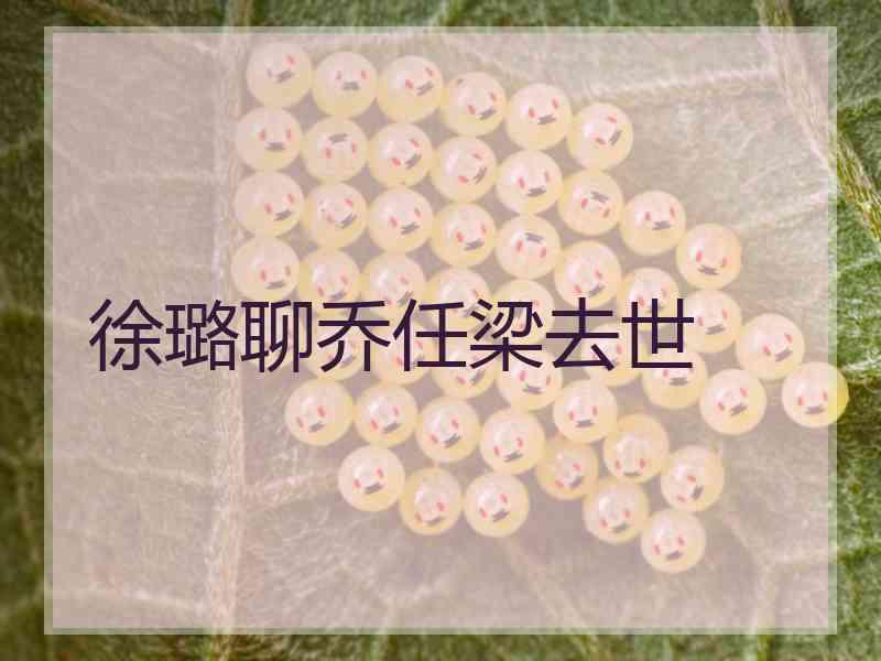 徐璐聊乔任梁去世