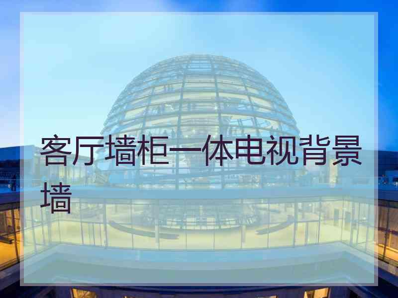 客厅墙柜一体电视背景墙