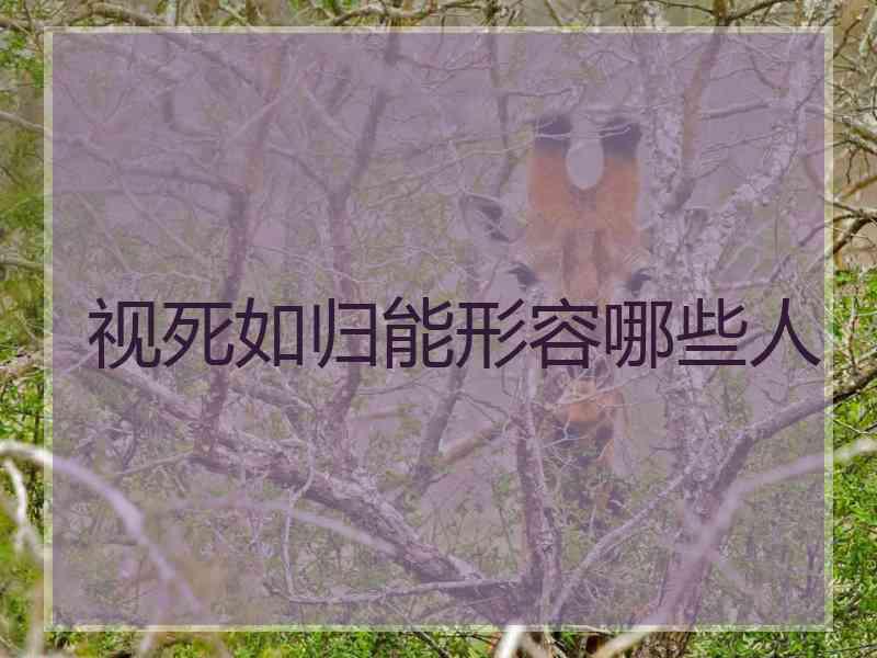 视死如归能形容哪些人