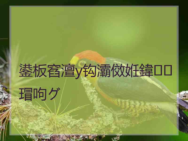 鍙板窞澶у钩灞傚姙鍏瑁呴グ