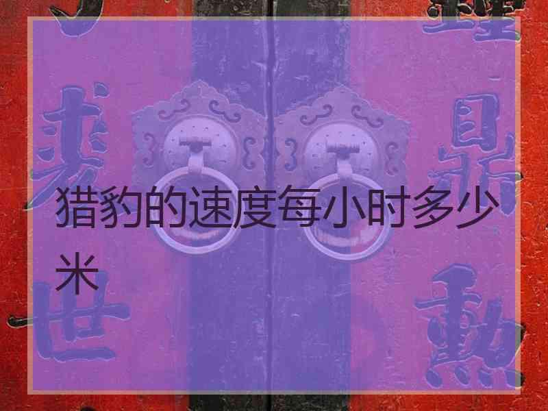 猎豹的速度每小时多少米