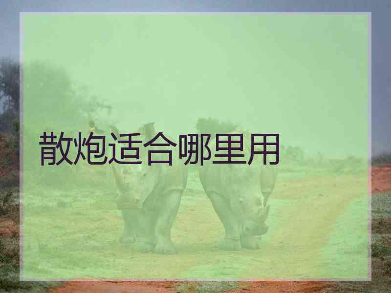 散炮适合哪里用