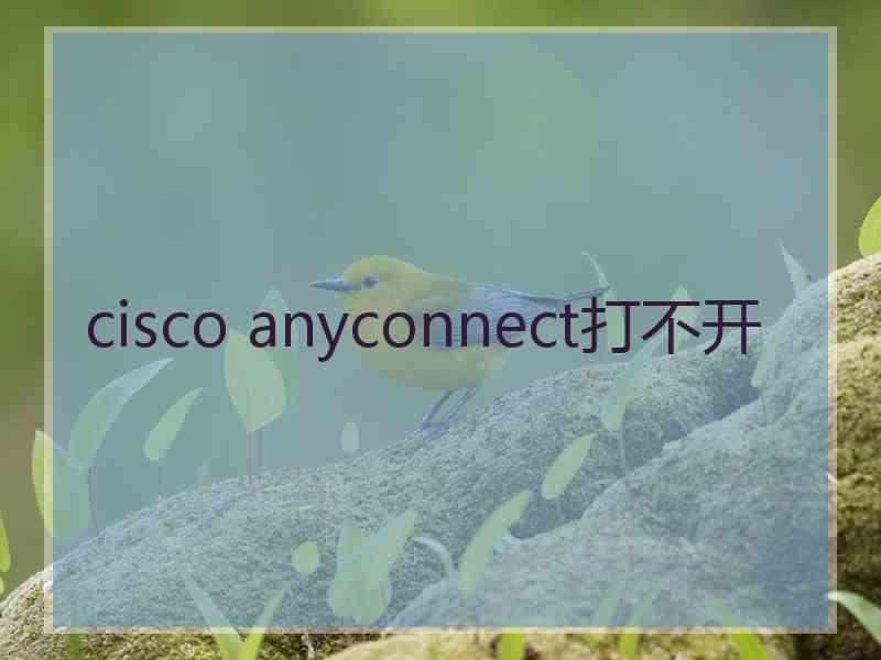 cisco anyconnect打不开