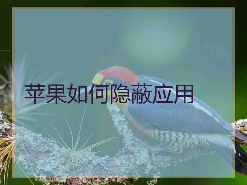 苹果如何隐蔽应用