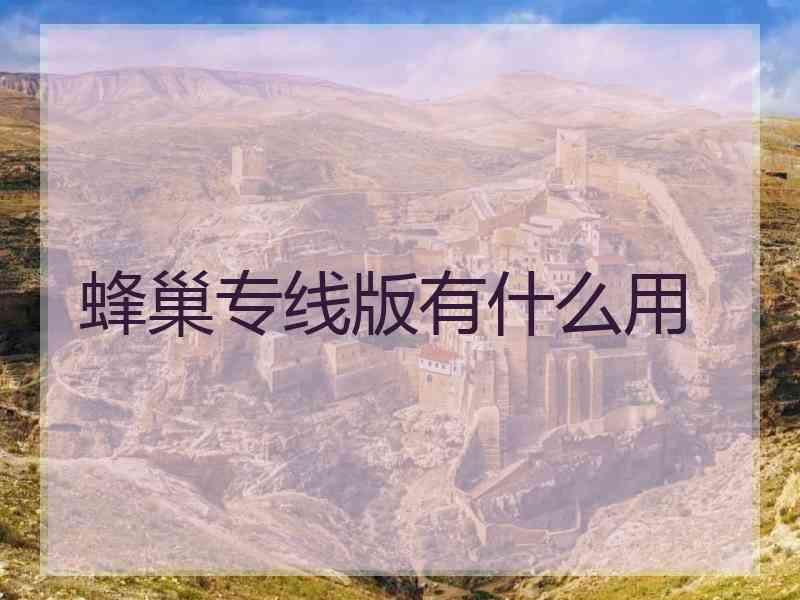 蜂巢专线版有什么用