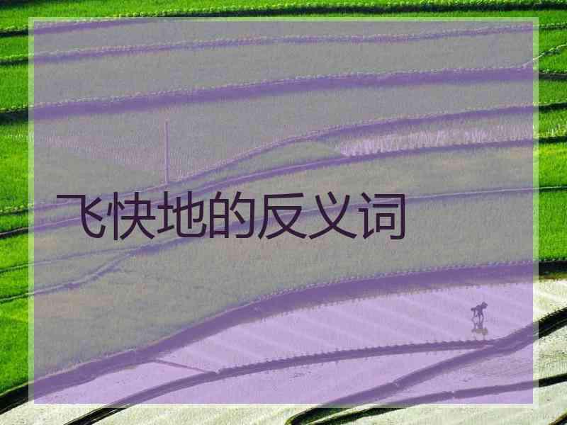 飞快地的反义词