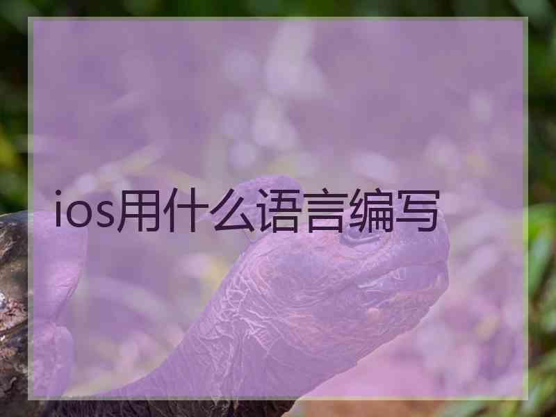 ios用什么语言编写