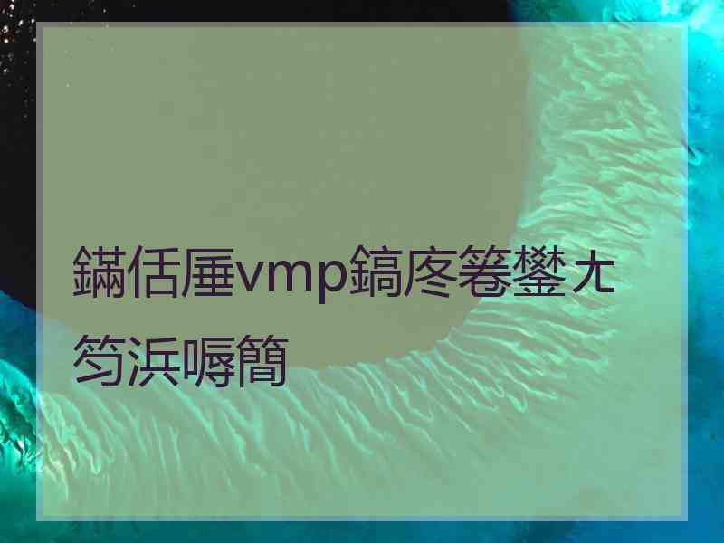 鏋佸厜vmp鎬庝箞鐢ㄤ笉浜嗕簡