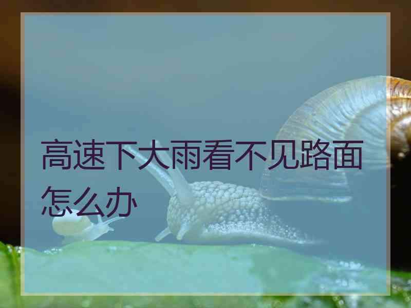 高速下大雨看不见路面怎么办