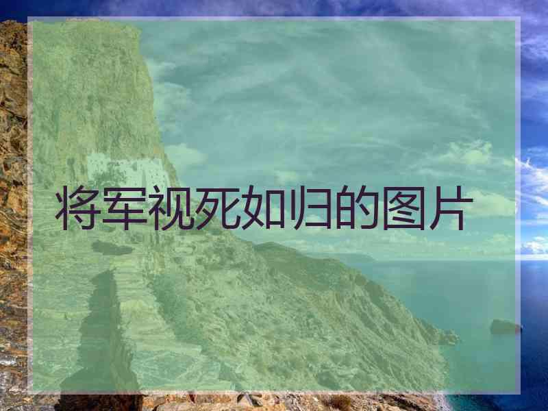 将军视死如归的图片