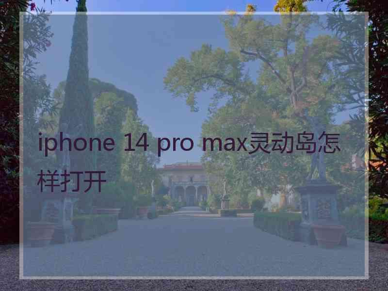 iphone 14 pro max灵动岛怎样打开
