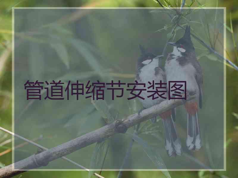 管道伸缩节安装图