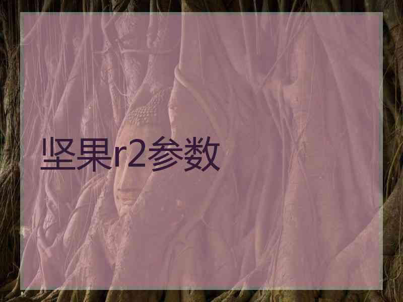 坚果r2参数