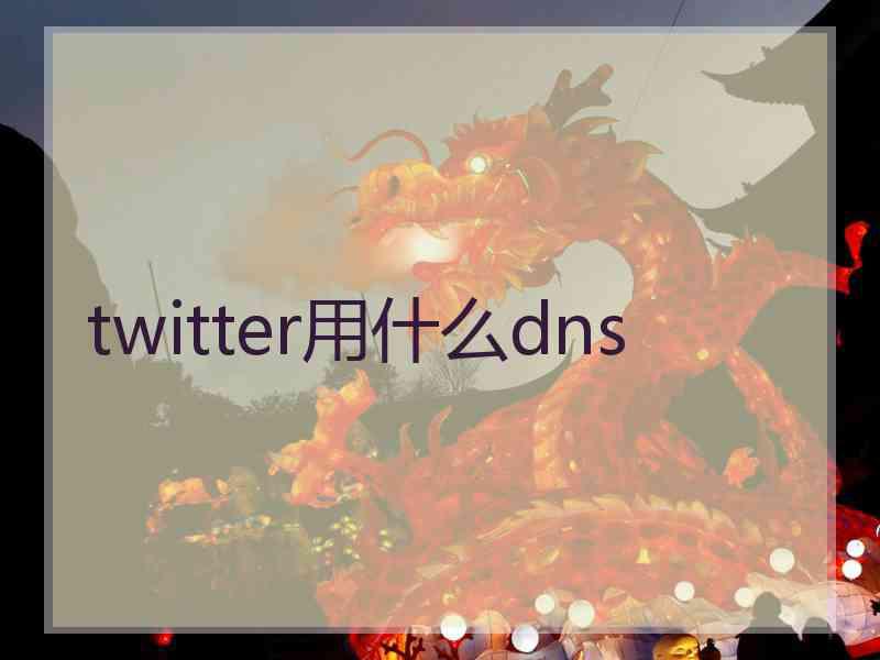 twitter用什么dns