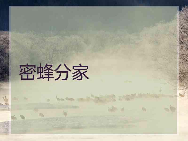 密蜂分家