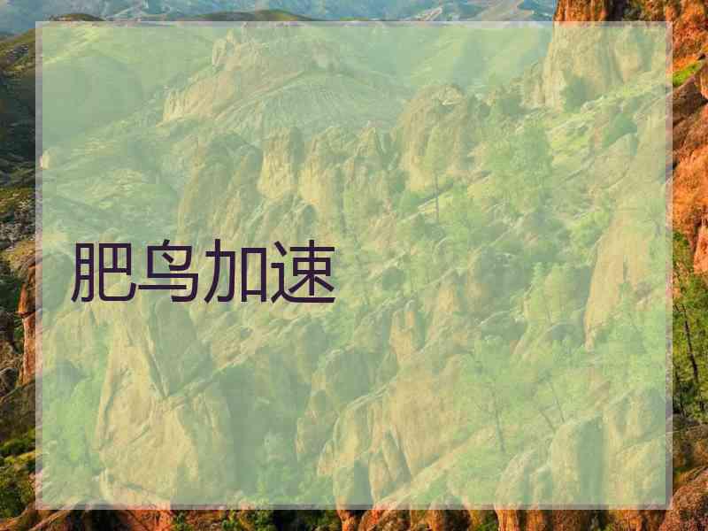 肥鸟加速
