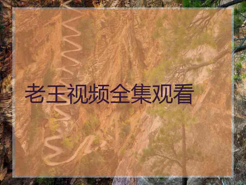 老王视频全集观看