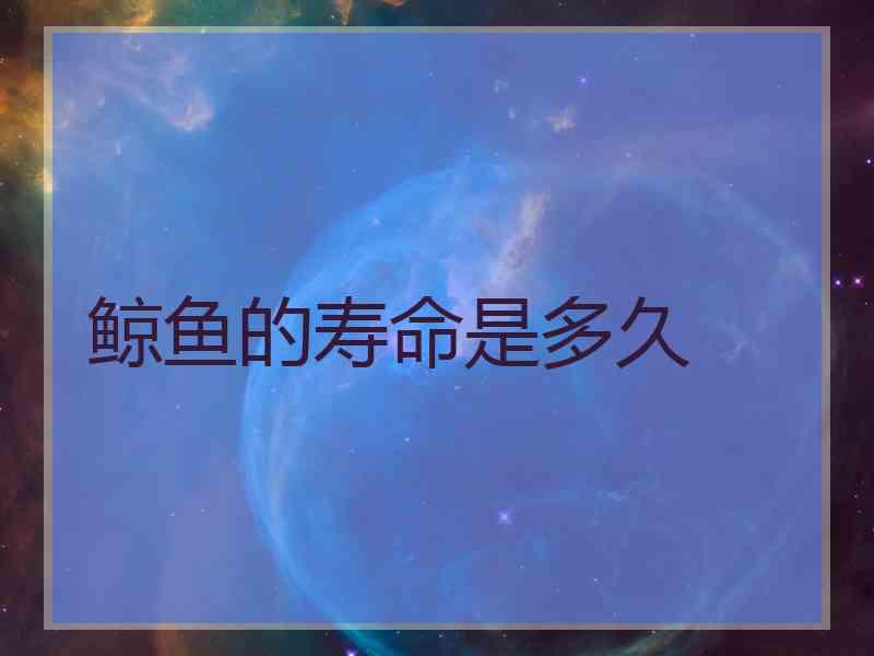 鲸鱼的寿命是多久