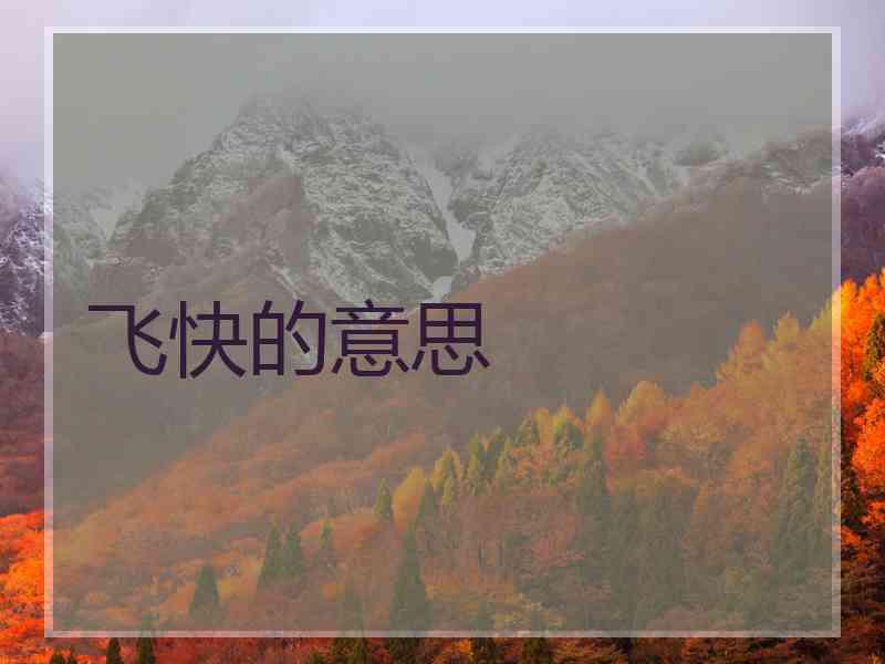飞快的意思