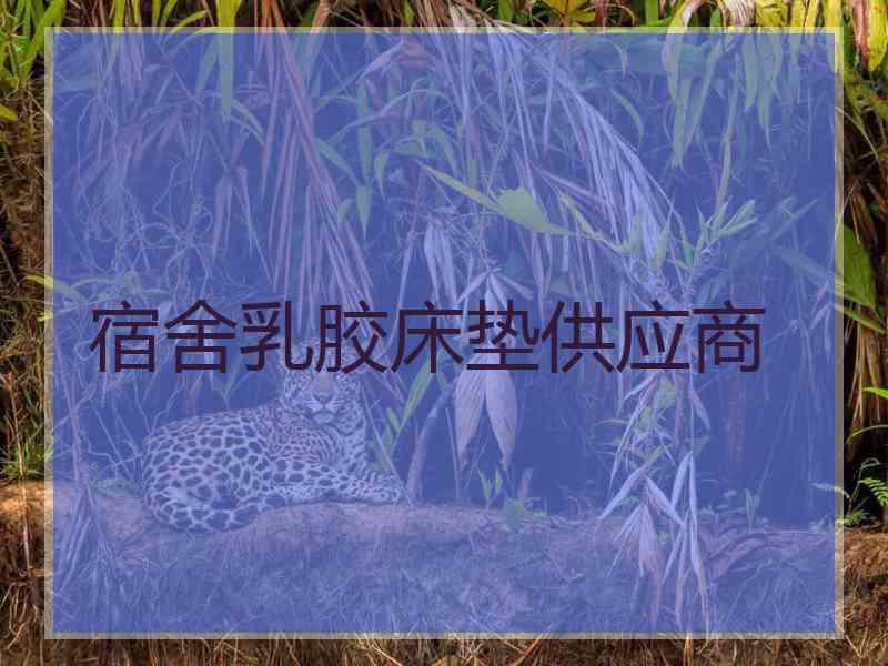 宿舍乳胶床垫供应商