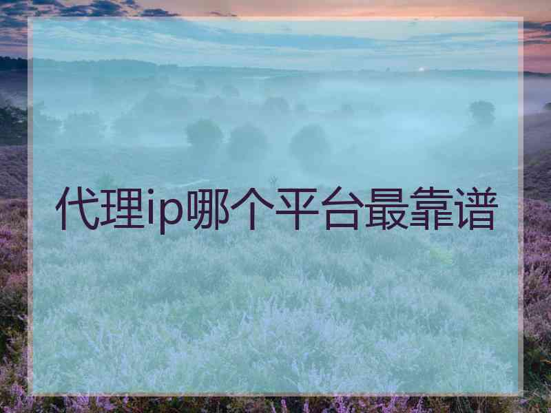 代理ip哪个平台最靠谱