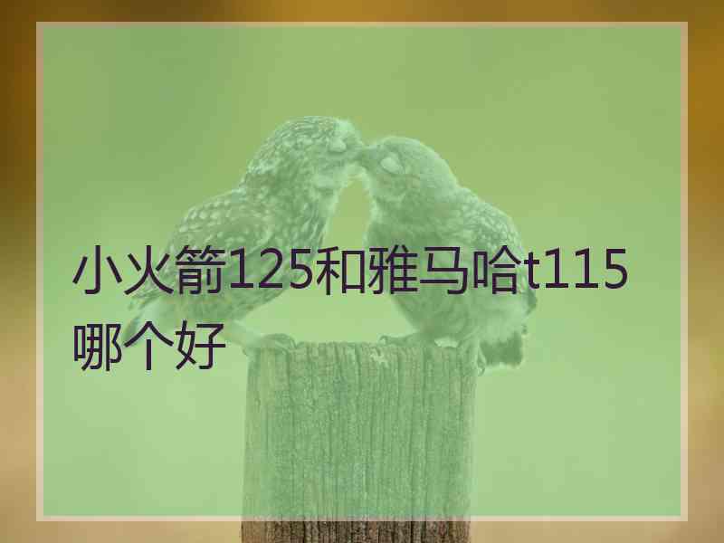 小火箭125和雅马哈t115哪个好