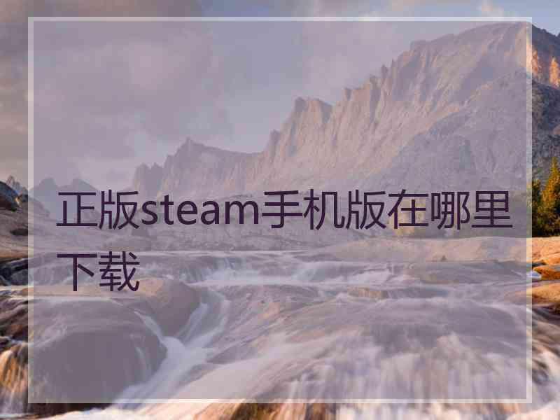 正版steam手机版在哪里下载