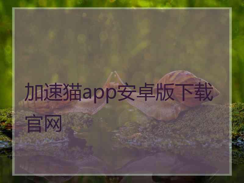 加速猫app安卓版下载官网
