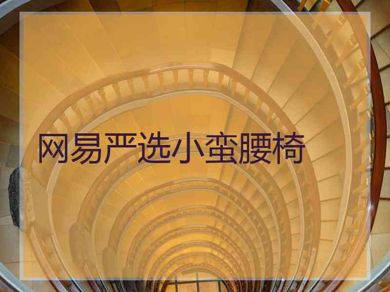 网易严选小蛮腰椅