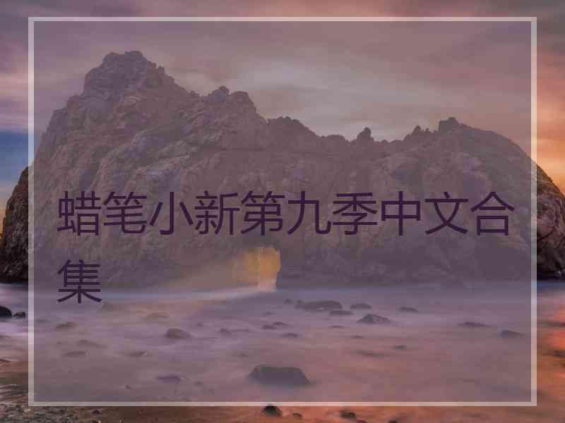 蜡笔小新第九季中文合集