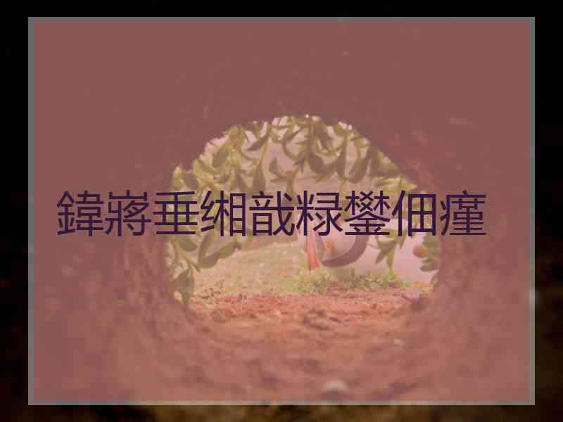 鍏嶈垂缃戠粶鐢佃瘽