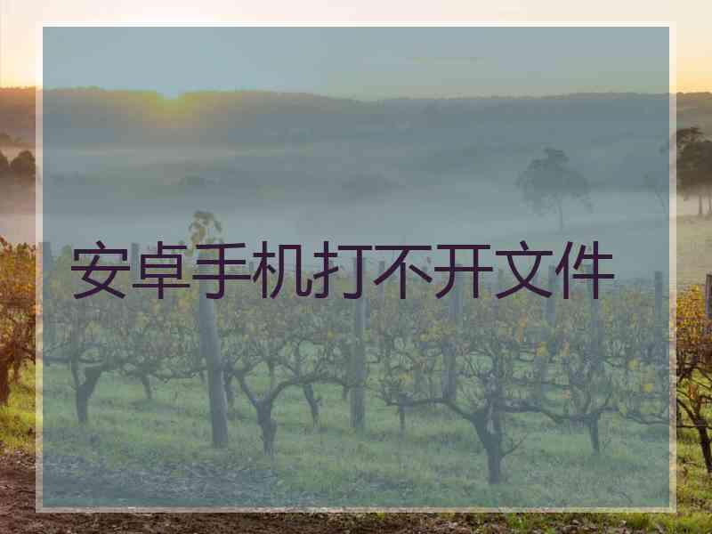 安卓手机打不开文件