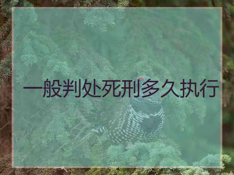 一般判处死刑多久执行