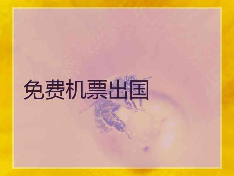 免费机票出国