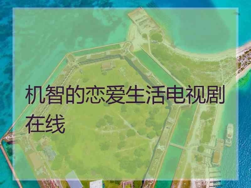 机智的恋爱生活电视剧在线